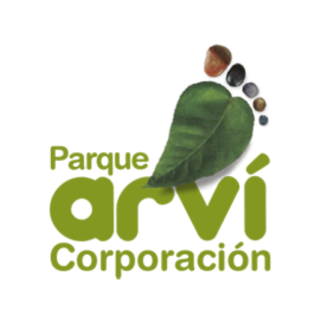 imagen blog